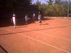 img00292-20101106-1032.jpg