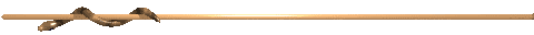 bara1.gif