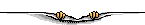 homb0058.gif