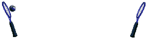 raqueteo2.gif
